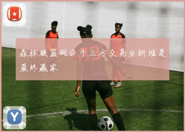 森林狼篮网公牛三方交易分析谁是最终赢家